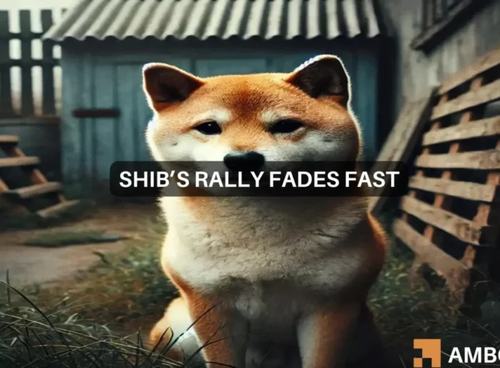 Shiba Inu price prediction: Why traders should brace for more losses