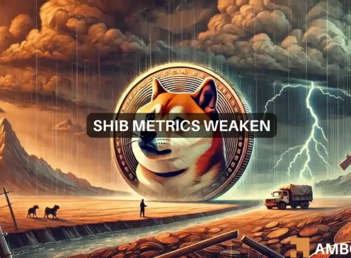 Shiba Inu update: Key indicators forecast up to 45% price drop – What now?