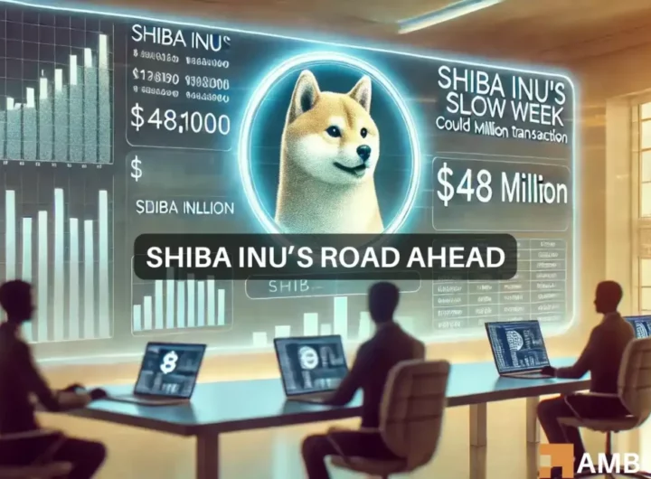 Shiba Inu’s slow week: Could a M transaction turn the tide?