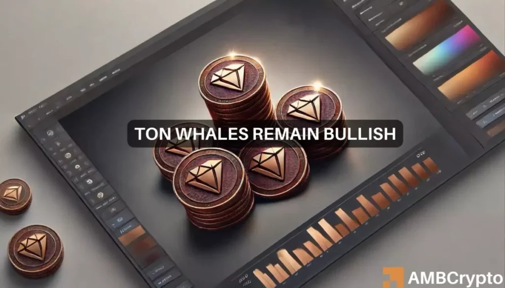 Toncoin whales bet big as TON edges closer to  its ATH