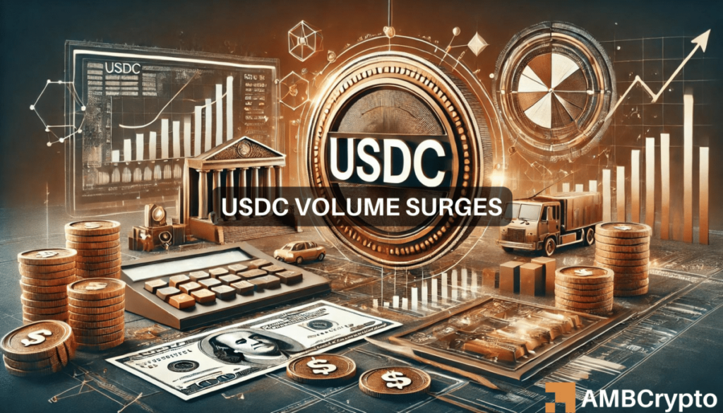 USDC volume surges to B in 2024: What are the reasons behind the rise?