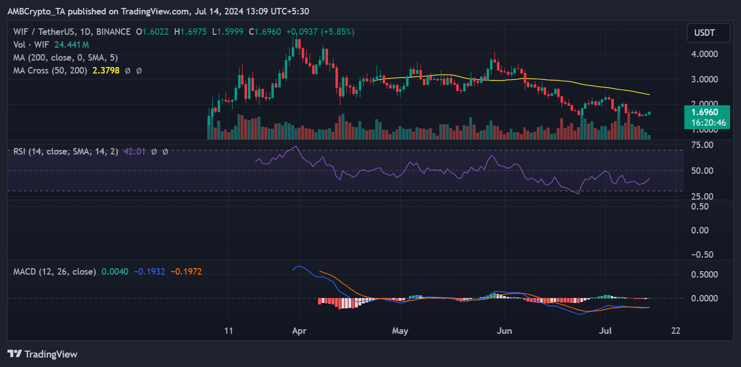 WIF price trend