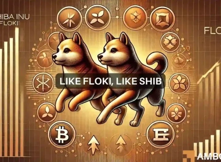 What FLOKI’s correlation with Shiba Inu means for its price