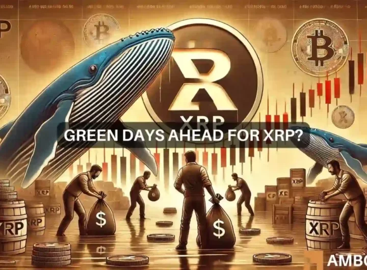 XRP whales rack up more tokens despite price fall: Recovery ahead?