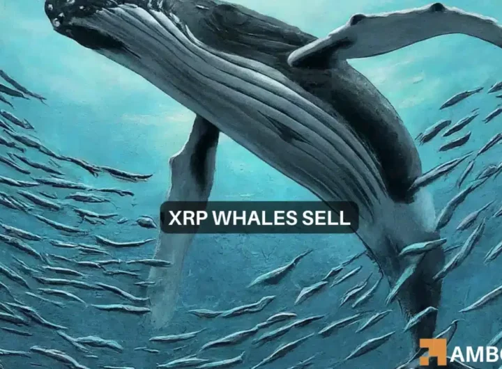 XRP whale watch: As 63M tokens move, is a sell-off coming?