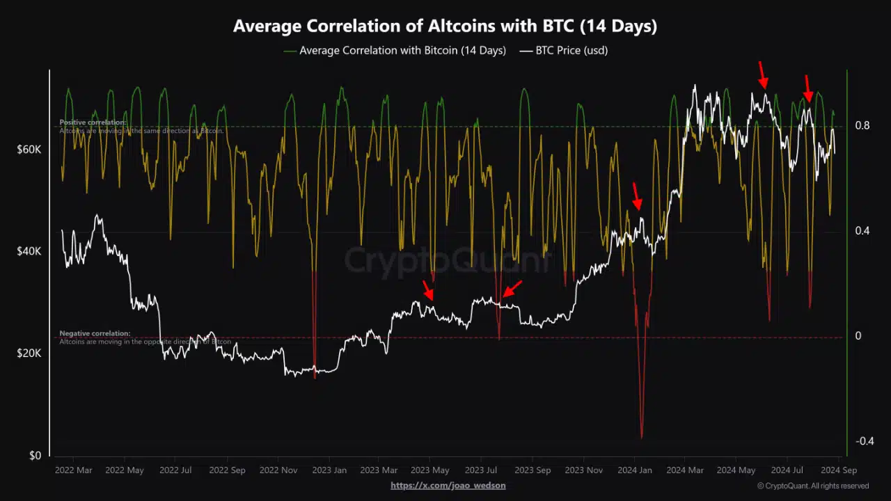 Bitcoin and altcoins correlation