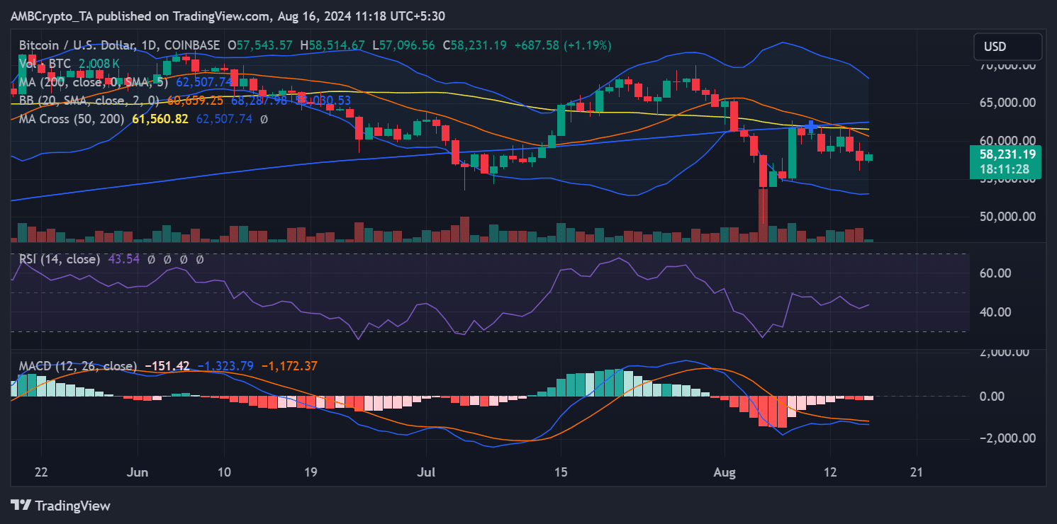 Bitcoin price trend