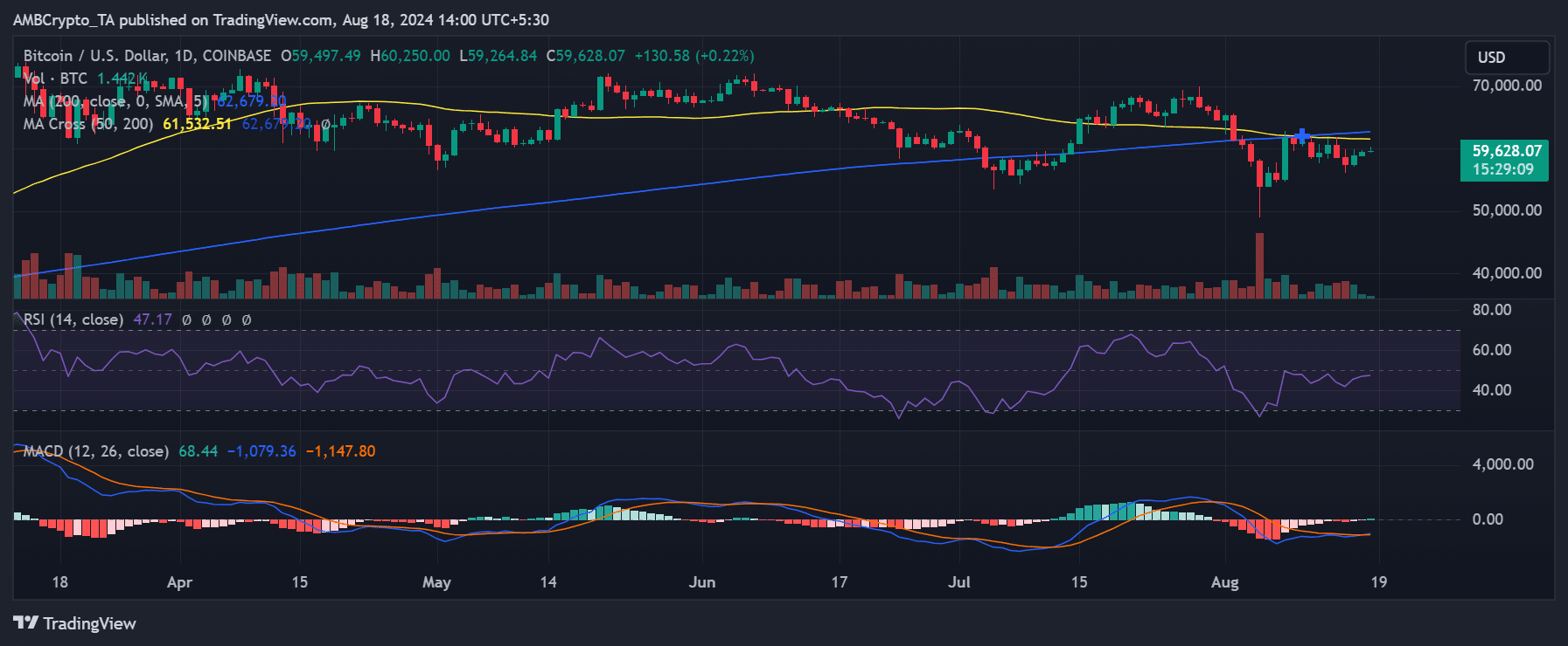 The Bitcoin daily time frame price trend