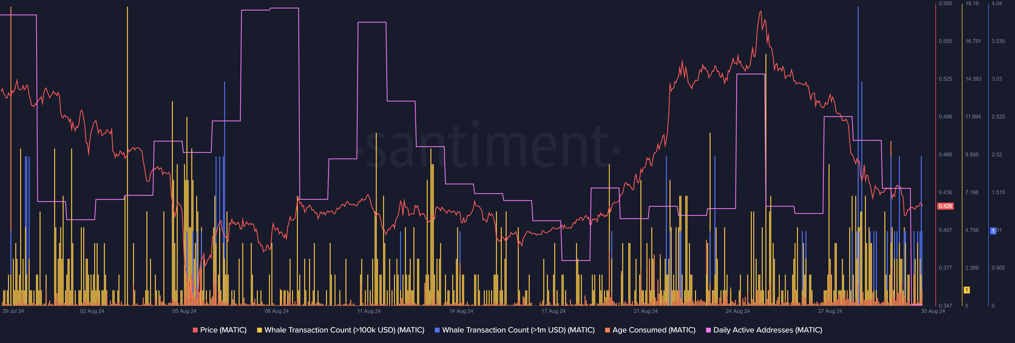 Whale activity analysis