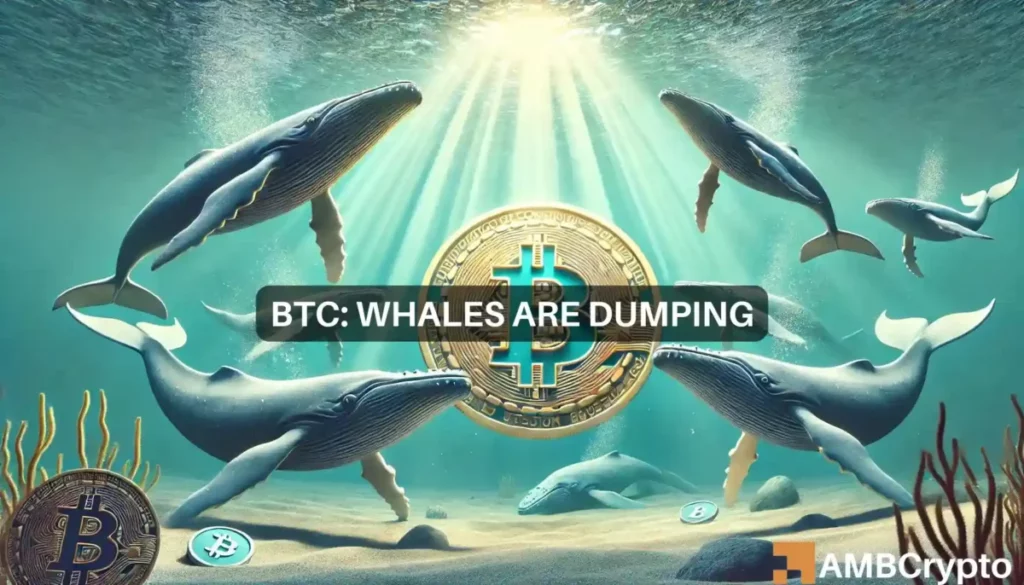 As Bitcoin rallies, whales start selling and that means…