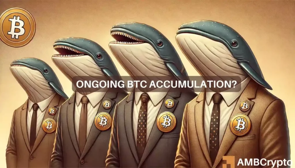 ‘Confident’ Bitcoin whales fuel .7 billion accumulation at the cost of…