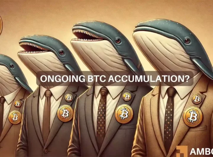 ‘Confident’ Bitcoin whales fuel .7 billion accumulation at the cost of…