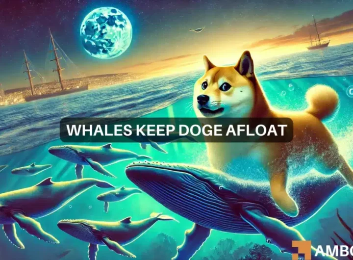 Dogecoin whale transfers 103 mln DOGE tokens: Sign of a bull run?