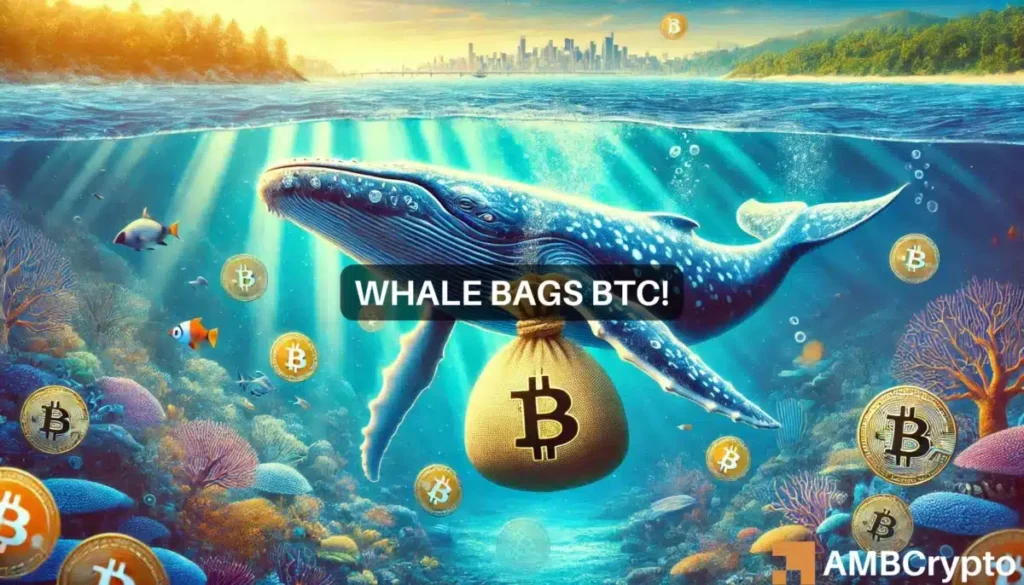 Bitcoin whale bags BTC worth  million – Are the bulls back?