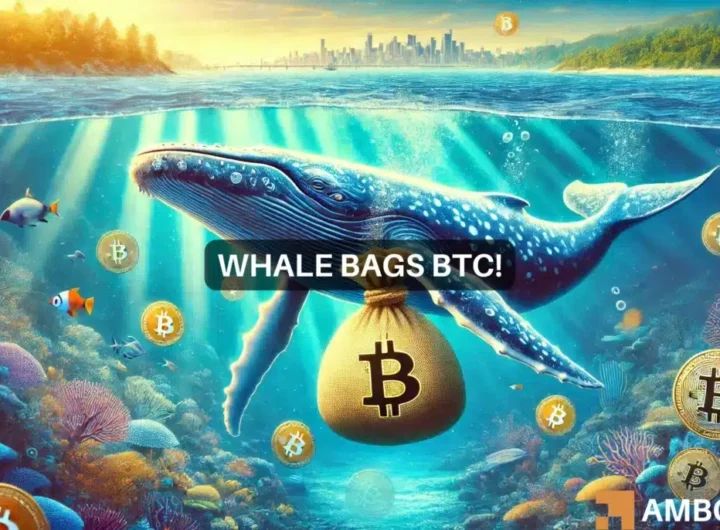 Bitcoin whale bags BTC worth  million – Are the bulls back?