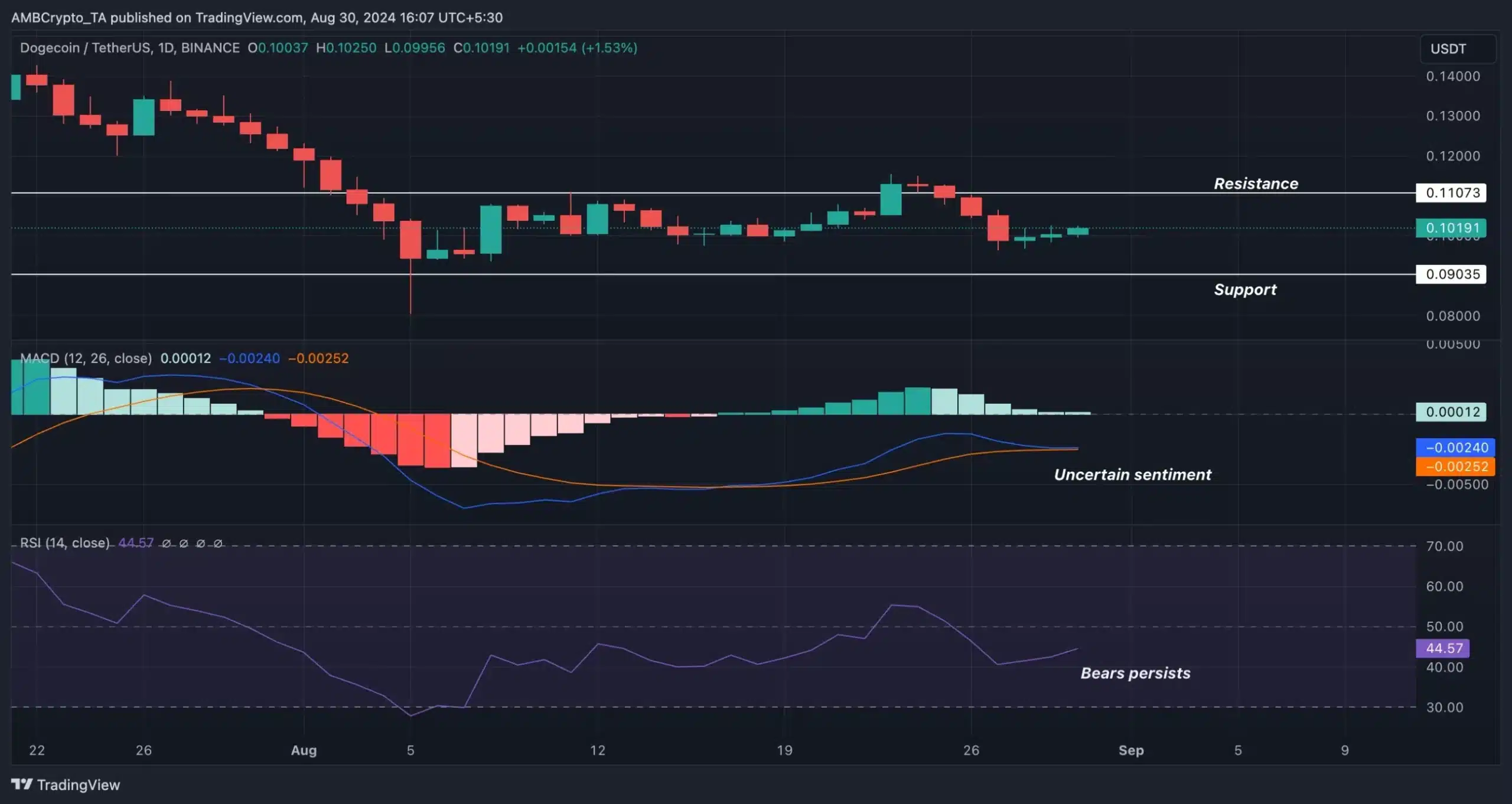 DOGE-Trading View