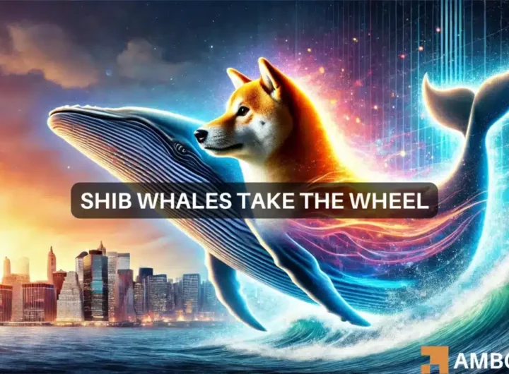 Shiba Inu whale watch: Why large investors moved 3.8T SHIB in 24 hours