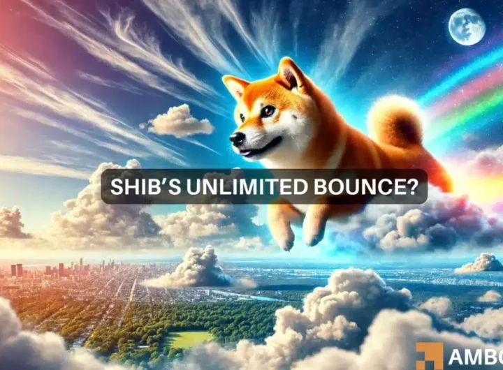 Will Shiba Inu breakout in August? Keep an eye out for THIS level