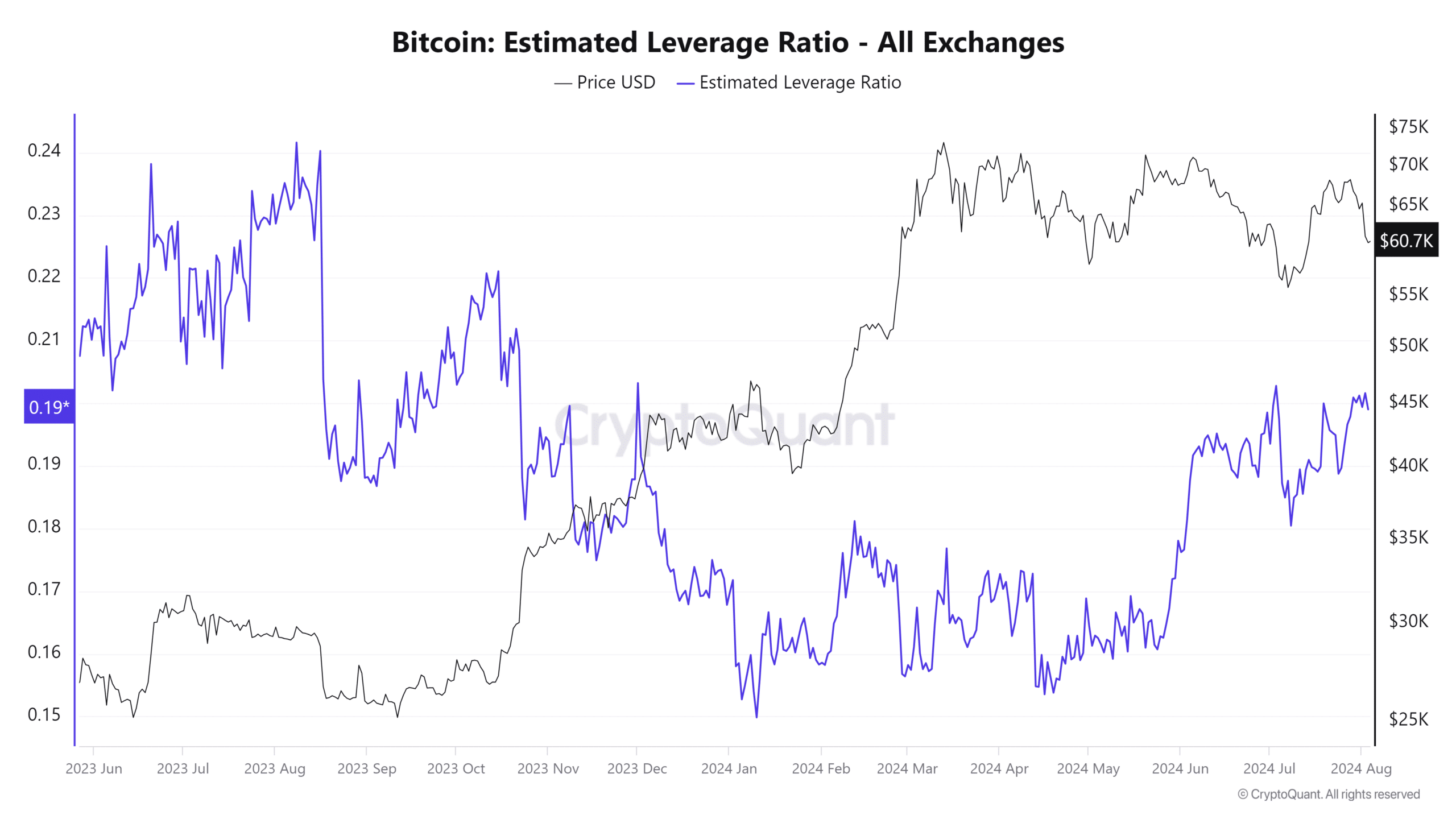 Bitcoin Leverage Ratio