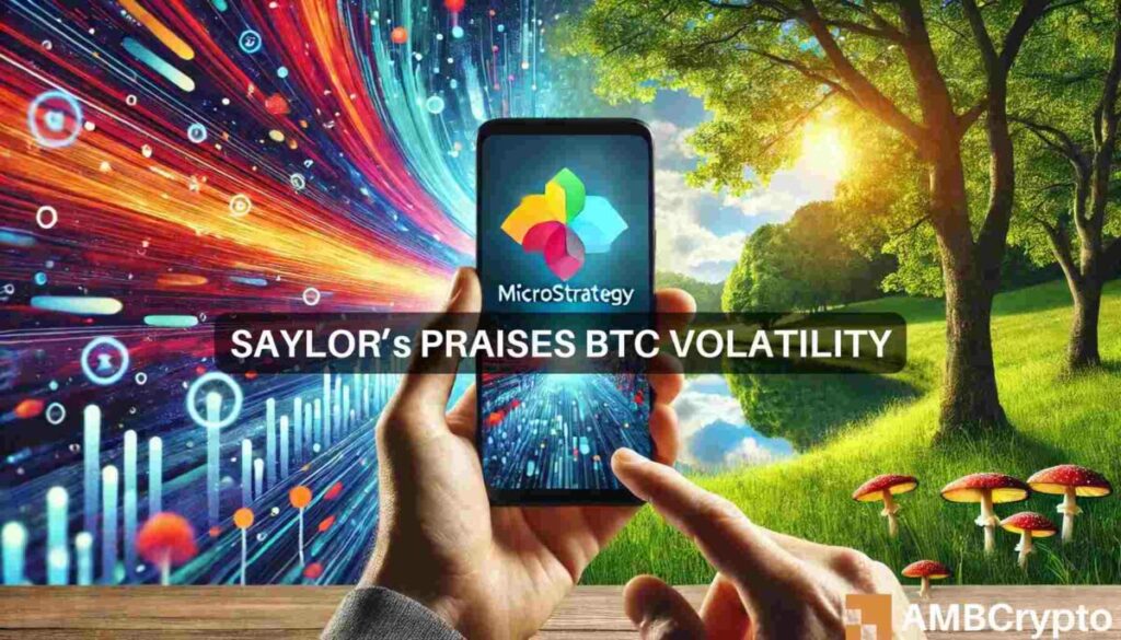 Bitcoin’s volatility ‘is the price you pay for…’ – Michael Saylor