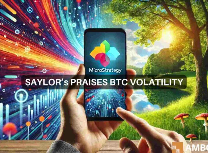 Bitcoin’s volatility ‘is the price you pay for…’ – Michael Saylor