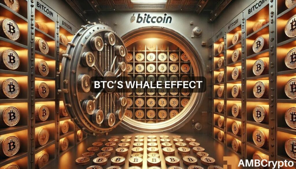 Bitcoin’s 1.9M move: Why BTC is the ‘hot pick’ for whales right now!