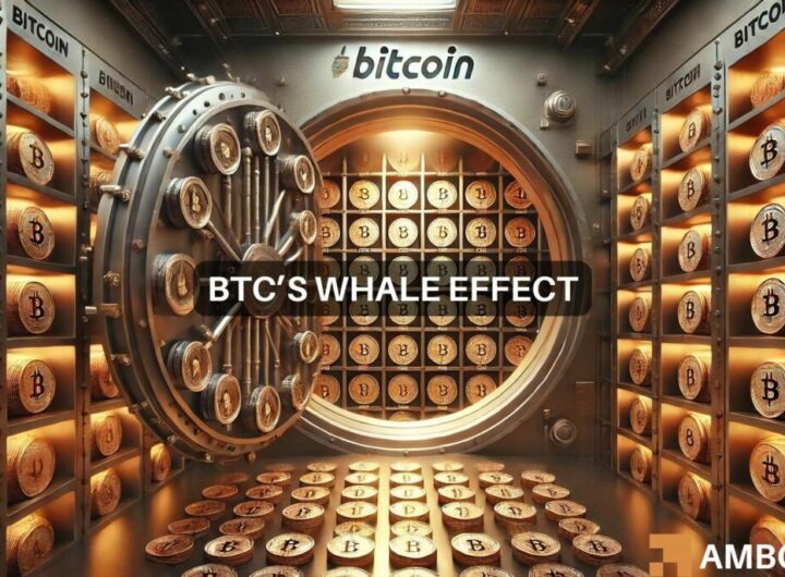 Bitcoin’s 1.9M move: Why BTC is the ‘hot pick’ for whales right now!