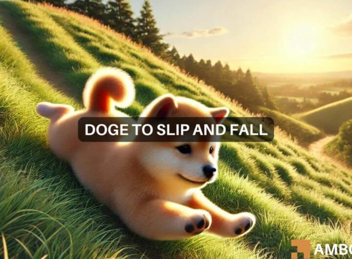 Dogecoin can rally to .9 but only after THIS fall