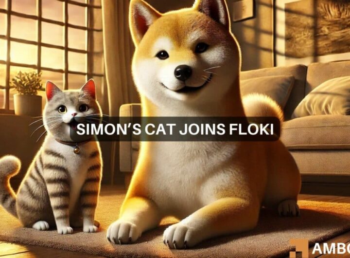 FLOKI gets ready for Simon’s Cat: What investors need to know!