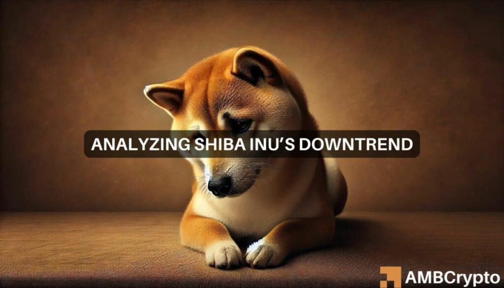 Shiba Inu price dips: Here are key levels to watch for a bullish reversal