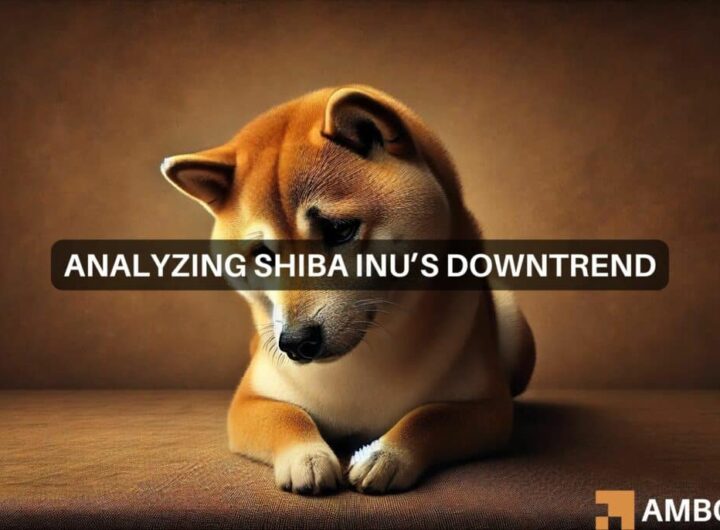 Shiba Inu price dips: Here are key levels to watch for a bullish reversal