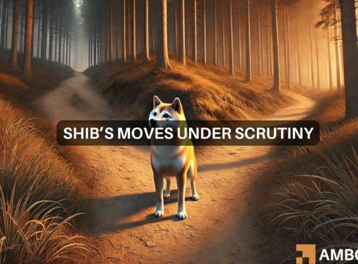 Shiba Inu’s 28% surge: Will SHIB keep its bull run after a change in path?