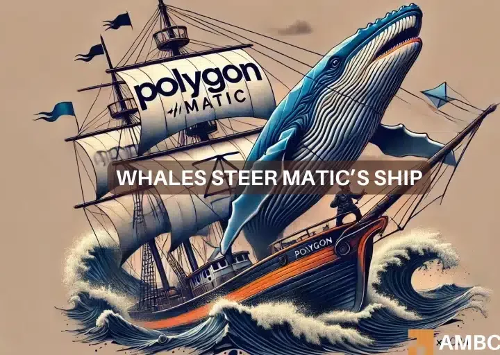 Polygon drops 20% in a week – Are MATIC whales to blame?