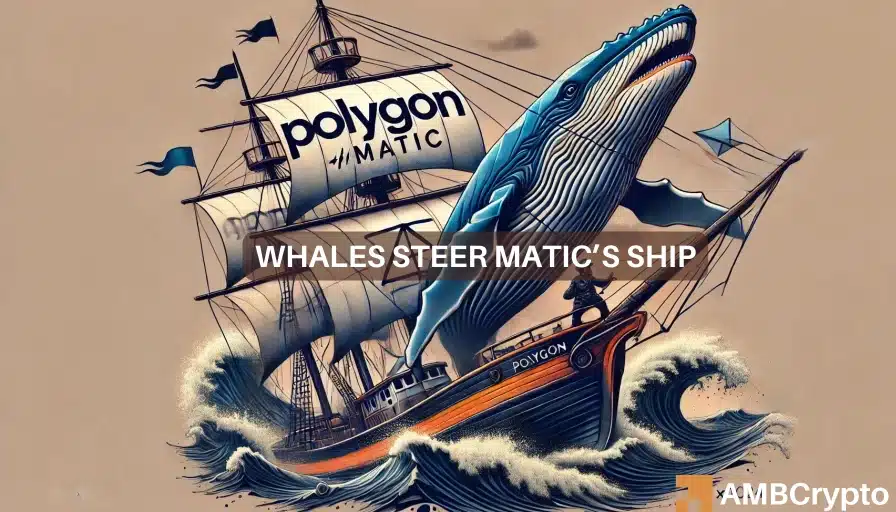 Polygon drops 20% in a week – Are MATIC whales to blame?