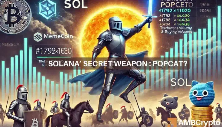 Solana’s minor surge may be linked to POPCAT memecoin – Here’s how