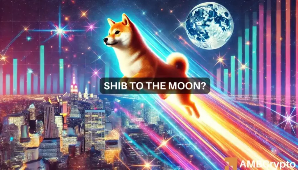 Shiba Inu: How the next few weeks can help SHIB gain 354%