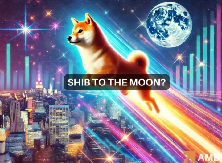 Shiba Inu: How the next few weeks can help SHIB gain 354%