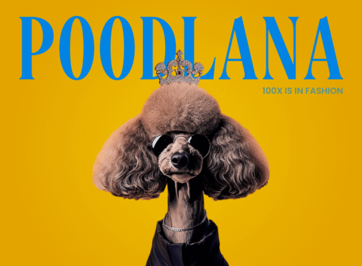 The Crypto Poodle That Broke the Internet: Poodlana Presale Closing