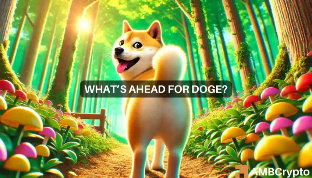 Charting Dogecoin’s road ahead as DOGE rises 6% in 7 days