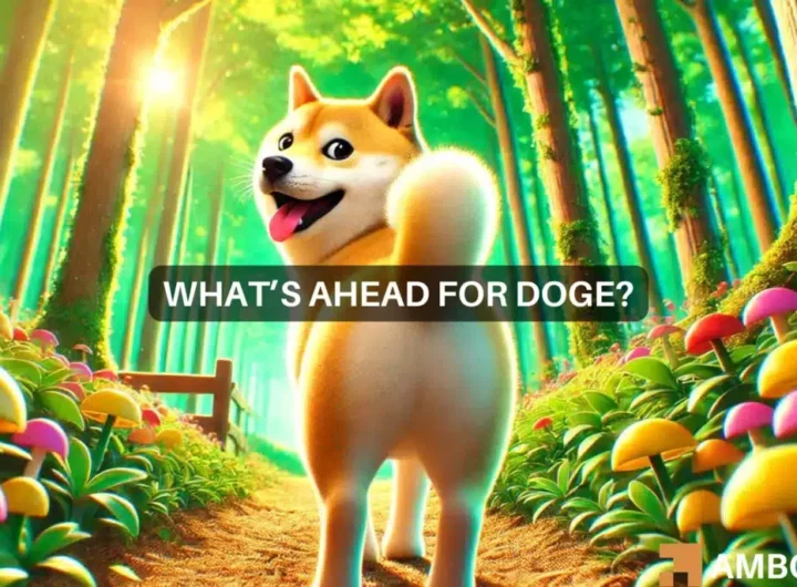 Charting Dogecoin’s road ahead as DOGE rises 6% in 7 days