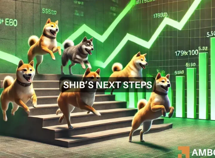 Shiba Inu’s August predictions – A possible breakout, but whales may be key!