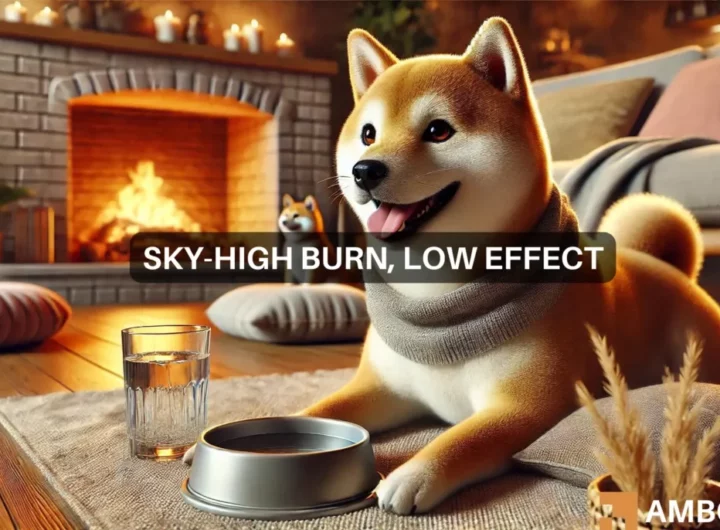 Shiba Inu burn rate peaks: Assessing market impact