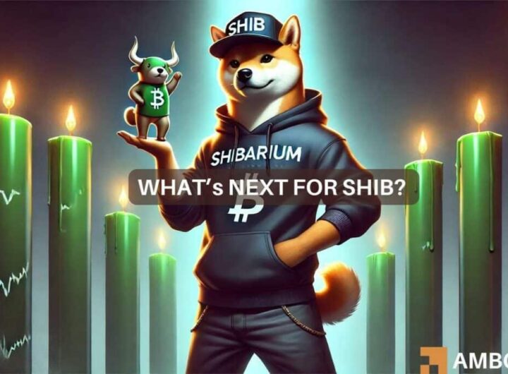 Shiba Inu price prediction: What’s next after SHIB’s 10% recovery?