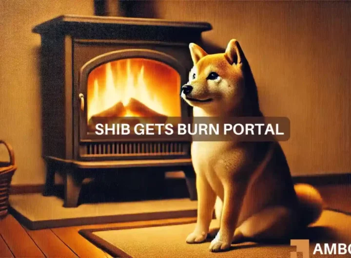 Examining the impact of Shiba Inu’s latest burn portal on SHIB’s price