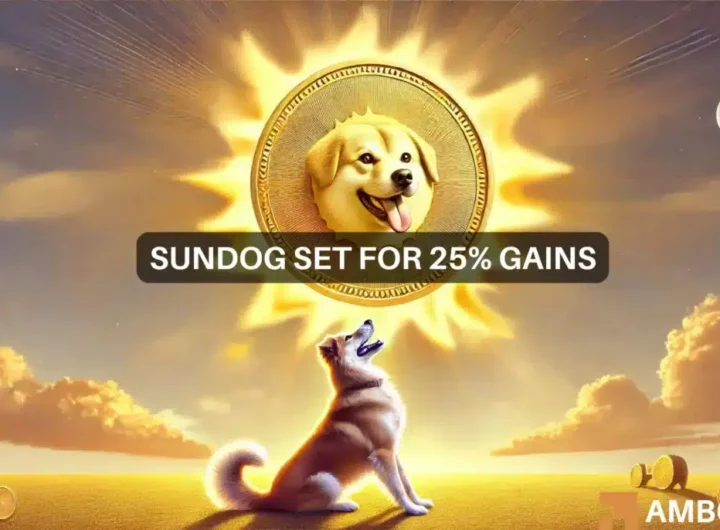 Sundog rallies 700%: What’s fueling the surge and can it sustain?