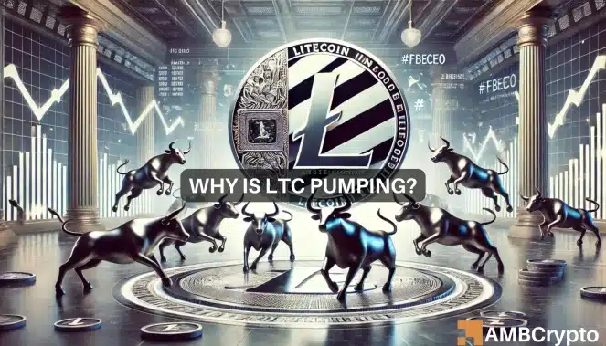 How Litecoin ‘decoupled’ from Bitcoin, Ethereum to hike in last 24 hours