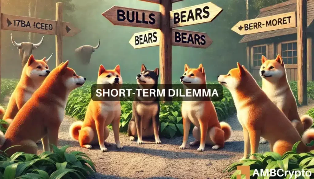 Shiba Inu price prediction – Here’s where SHIB traders should be careful now!