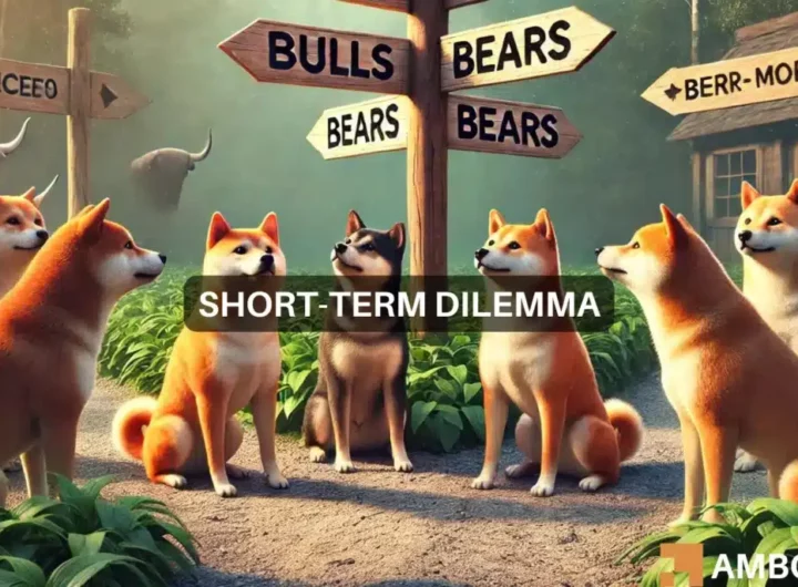 Shiba Inu price prediction – Here’s where SHIB traders should be careful now!