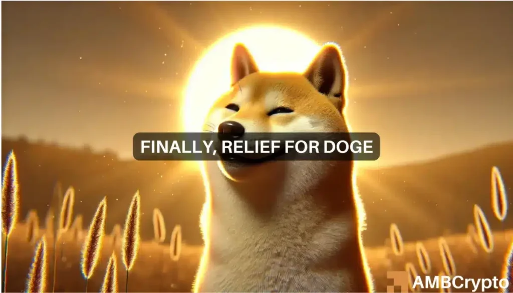 Is Dogecoin’s recovery coming? Bullish indicators emerge