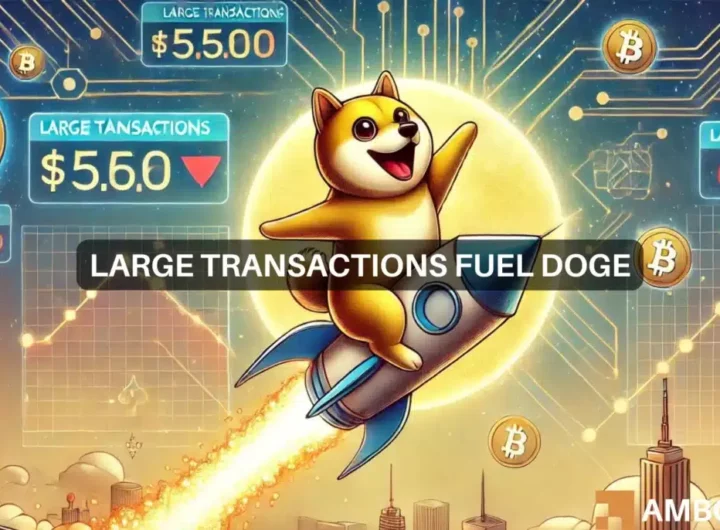 Dogecoin’s large transactions surge 35%: What’s next for DOGE?